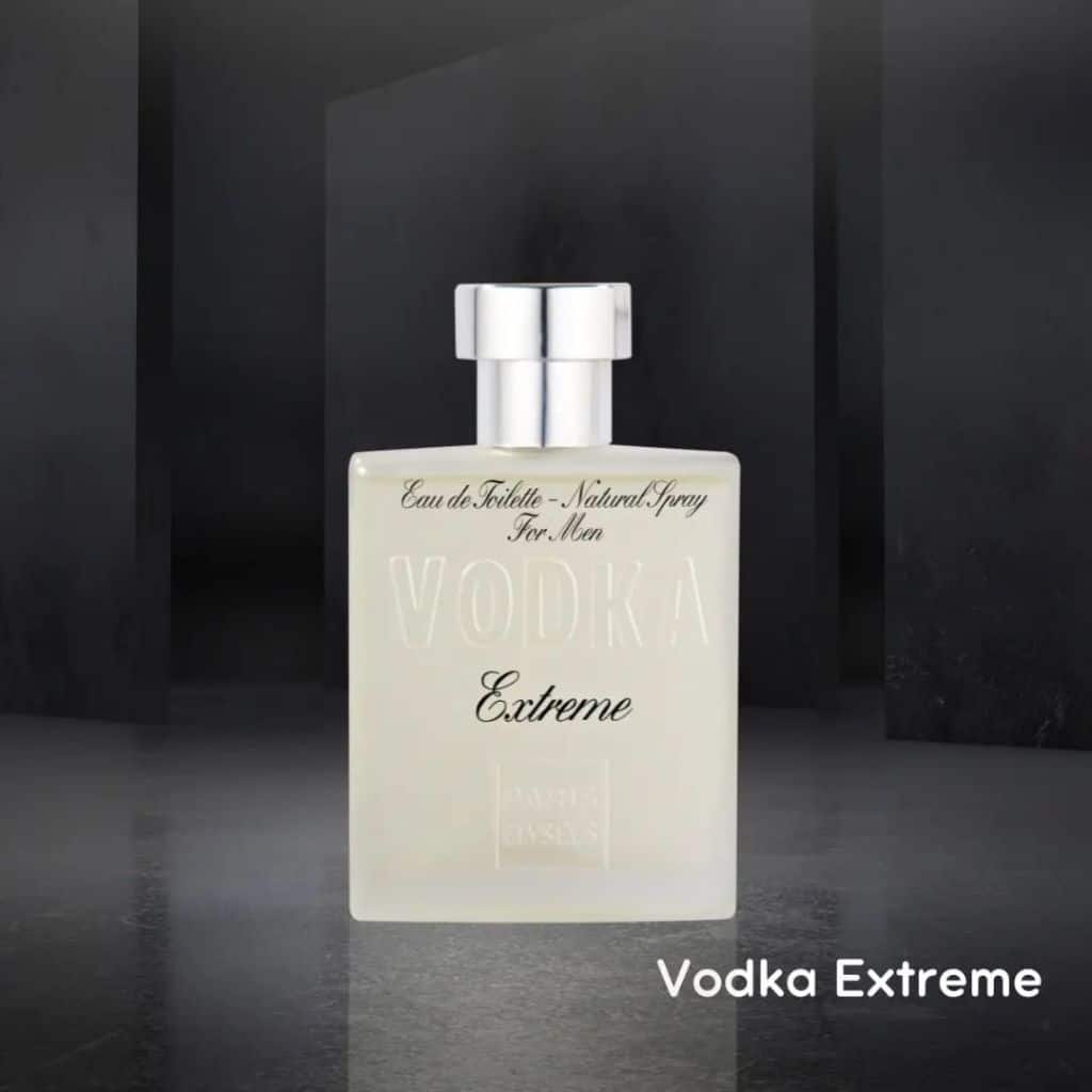 Perfume Masculino Vodka Extreme Paris Elysees 100 ml