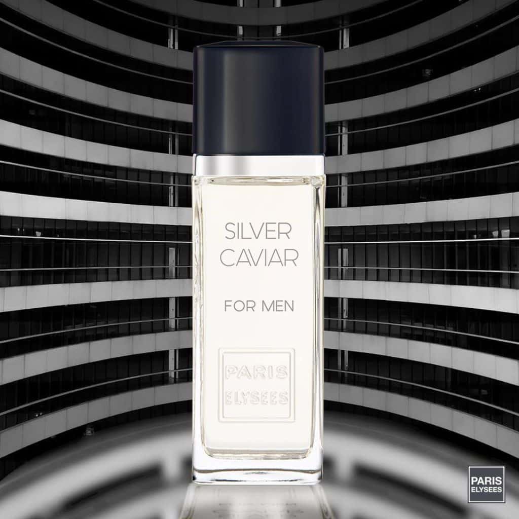 Perfume Masculino Silver Caviar Paris Elysees 100 ml