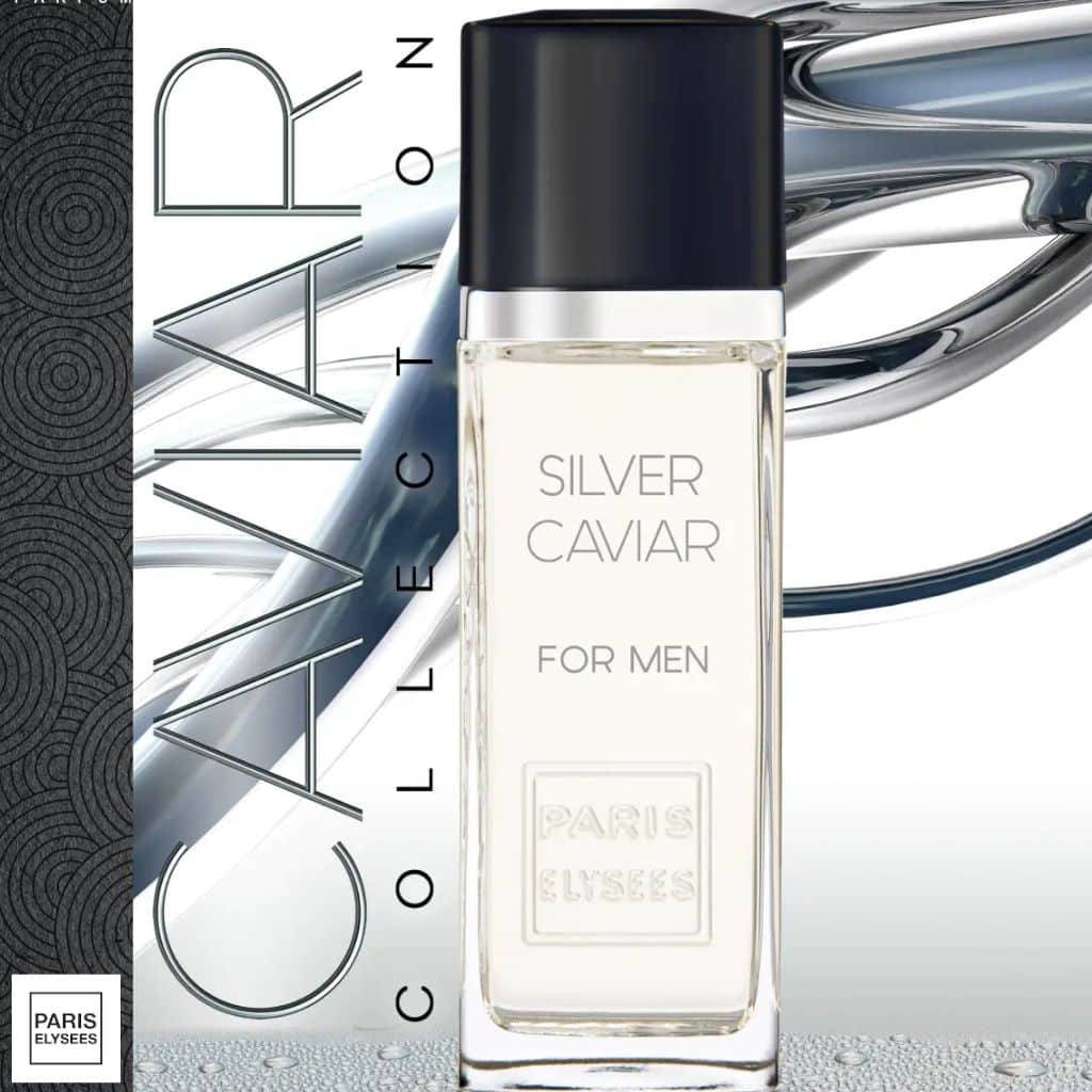 Perfume Masculino Silver Caviar Paris Elysees 100 ml