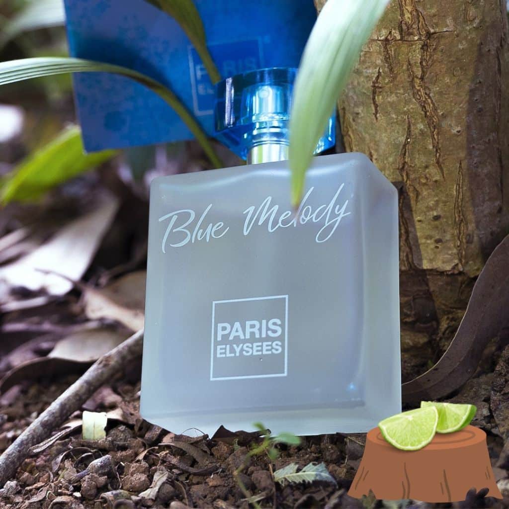 Perfume Blue Melody Paris Elysees Perfume Feminino 100 ml