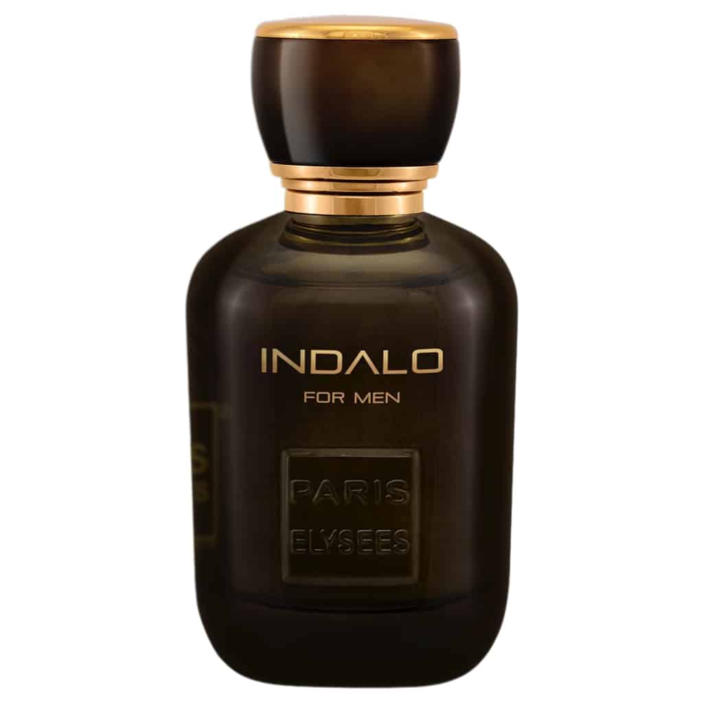 Indalo Paris Elysees Perfume Masculino 100 ml